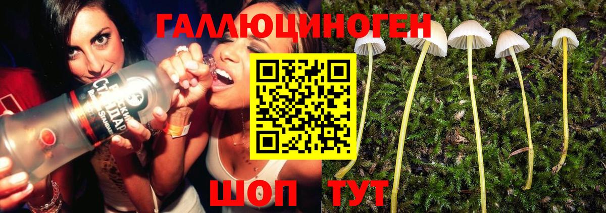 Галлюциногенные грибы Magic Shrooms Гатчина