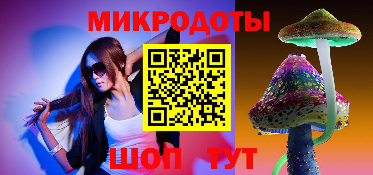 Гатчина  Псилоцибиновые грибы Psilocybe  Вход с VPN  Галлюциногенные грибы мицелий 